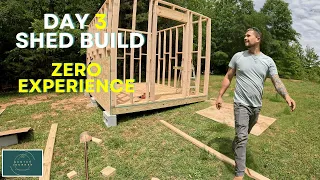 ZERO EXPERIENCE | Day 3 | DIY 10x12 Shed build | going to war with a wasp?