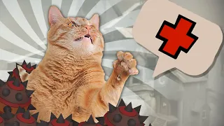 TF2 But With Cats (tf2 meme)