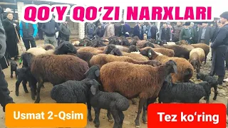 JIZZAX VILOYATI BAXMAL TUMANI USMAT MOL QOʻY BOZORI