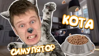 Я превратился в КОТА! УСТРОИЛ ПОГРОМ В КВАРТИРЕ!!! Catify VR