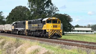 Westbound WATCO Empty Cattle Train Through Calvert 31/05/24