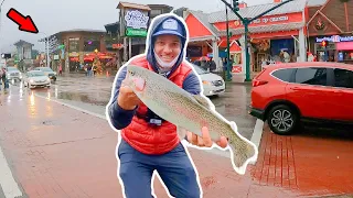 Catching MASSIVE Fish in Downtown Gatlinburg TN!