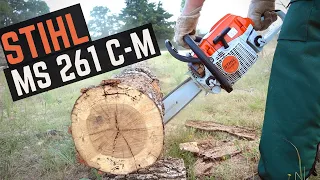 STIHL MS 261 C-M REVIEW (Best All Around Chainsaw)