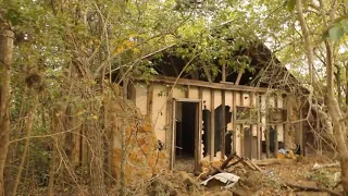 Abandoned neighborhood in the woods