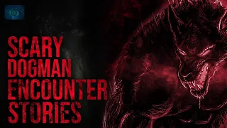 SCARY DOGMAN HORROR STORIES | DOGMAN ENCOUNTER SIGHTINGS