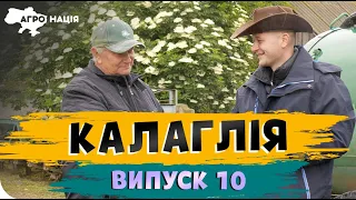 ОПТИМІЗАЦІЯ ВИРОЩУВАННЯ СОНЯШНИКА 🌻 НА ПІВДНІ. АгроНація #10 серія