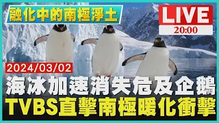 海冰加速消失危及企鵝 TVBS直擊南極暖化衝擊【融化中的南極淨土】