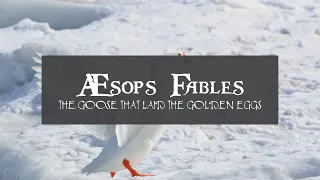 Aesop's Fables - The Goose That Laid The Golden Eggs
