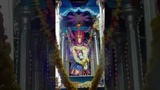 Adaikala Madha Church | Feast | Elakurichi | Fr. Robinson MMI