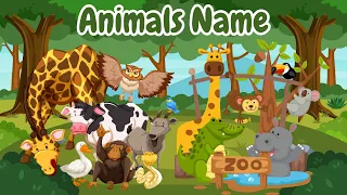Animals names - Different Names of the Animal - 20 Amazing Animals  Moko Loko Tv - Kids Stories
