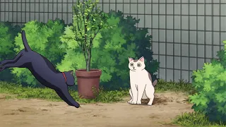 Gokushufudou.  Gin the Cat #2 | Путь домохозяина. Кот Гин. Серия 2