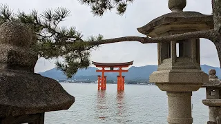 Japan Pt 6 - Hiroshima & Miyajima Island