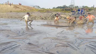 Extremely Unbelievable Satisfying Pond Fishing Video 2023 | Everyone Should Watch This Fishing Video