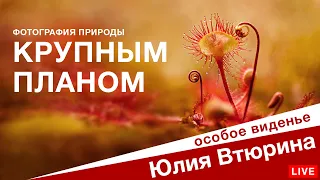 КРУПНЫМ ПЛАНОМ: Фотография природы, макро, цветы и фактуры. Особый взгляд Юлии Втюриной