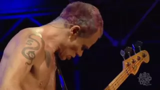 Red Hot Chili Peppers - Dark Necessities (Lollapalooza Chicago 2016)