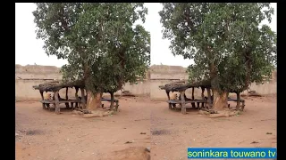 ALDJI souleymane Doucoure  (tafsir coran)