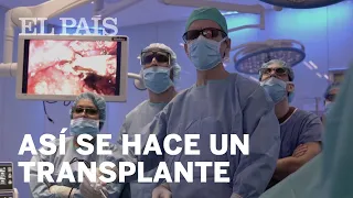 En las entrañas del TRANSPLANTE de riñón