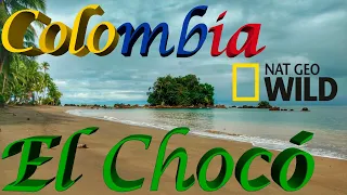 Colombia Salvaje (Parte 1 de 3) || El Chocó, la costa salvaje