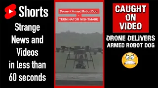 Drone Delivers ARMED Robot Dogs TERMINATOR Nightmare #shorts