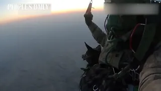 These skydiving military dogs are so cool!