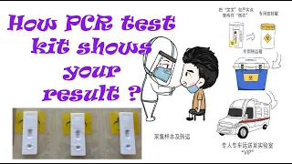 Demo for Antigen Rapid Test Kit. China Vlog. #PCR #COVID