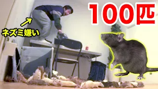 [Punked!] Without warning, 100 mice are released into the room.