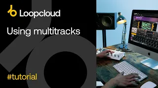 Using Multitracks - Loopcloud 6