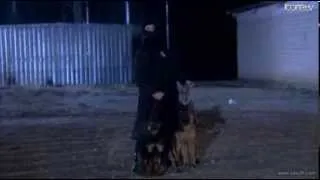 HayatBayat--Kordon Celili köpekler parçaladı))