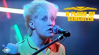 A Flock Of Seagulls - I Ran (So Far Away) (Musikladen) (Remastered)