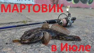 ПОЧЕМУ СПИННИНГИСТЫ НЕ ЛОВЯТ ЭТУ РЫБУ??? ВЗЯЛ ТРОФЕЙНОГО БЫЧКА-МАРТОВИКА В РЕКЕ!