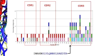 ProMap® Naive T cell Proliferation Assays