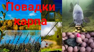 Повадки карпа))) Подводная съёмка прикормочного места