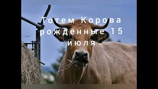 Тотем Корова рождённые 15 июля