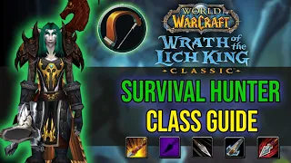 WOTLK CLASSIC - SURVIVAL HUNTER GUIDE! - Talents, Rotation & More