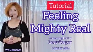 Tutorial : Feeling Mighty Real LineDance