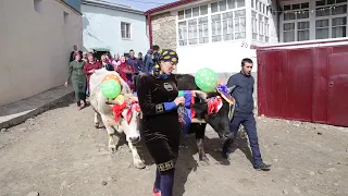 ЧАРОДА Праздник первой борозды-Оц бай