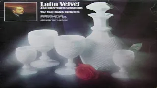 Tony Hatch   Latin Velvet And Warm Sensations (1968) GMB