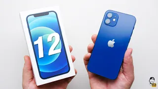 📱 Apple iPhone 12 Unboxing & První dojmy: Obří výkon a HDR video! | WRTECH [4K]