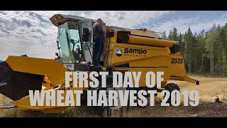 First day of wheat harvest 2019 | Vehnän puintia 2019 | Mäntyharju, Finland