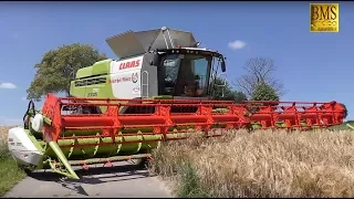 Getreideernte - Mähdrescher CLAAS LEXION 770 Terra Trac TT - biggest combine harvester harvest