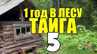 ГОД В ГЛУХОЙ ТАЙГЕ | ВСТРЕЧА С МЕДВЕДЕМ | КЕДРОВЫЕ ОРЕХИ НА ЗИМУ | ЗОЛОТО | ВЫЖИТЬ В ЛЕСУ 5 из 10