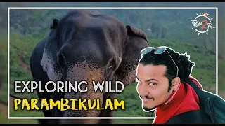 Parambikulam Tiger Reserve | Marathi Man Vs. Wild #Bha2pa