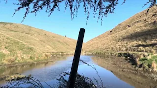 Few clips from opening day 2024 nz duck shooting