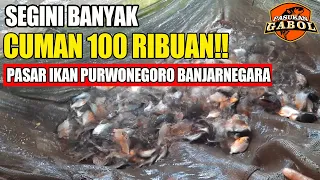 Beli Bibit Ikan Bawal di Pasar Ikan Purwonegoro Banjarnegara