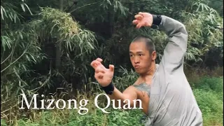 Shaolin Mizong Quan Yilu