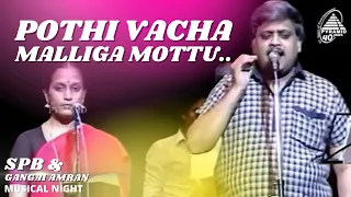 Pothi Vacha Malliga Mottu | SPB And Gangai Amaran Musical Night
