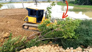 Excellent Techniques operator bulldozer skill pushing Stone Filling Land/Alot dump truck dumping