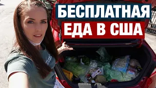 ПОЕХАЛА ЗА БЕСПЛАТНЫМИ ПРОДУКТАМИ. ШУТКИ КОНЧИЛИСЬ