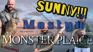 MONSTER FISH on LIGHT TACKLE NORTH WALES FISHING at Sunny MOSTYN #seafishinguk #monsterfish