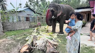 Debasmita seeks the blessings of Gajraj 🐘